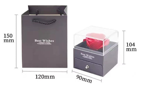 100 Languages “I Love You” Projection Necklace – Romantic Jewelry Gift for Women CJ