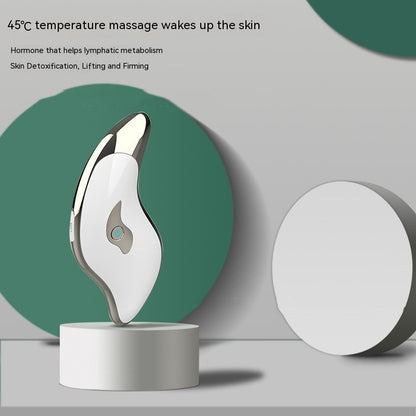 Facial & Neck Ultrasonic Massage Instrument – Beauty & Therapeutic Care