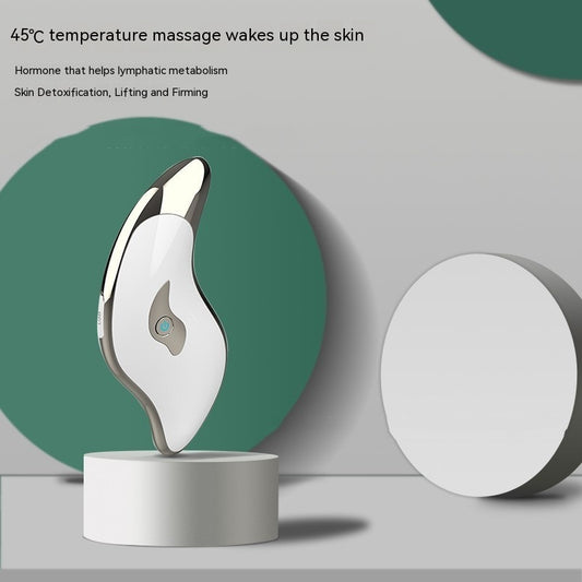 Facial & Neck Ultrasonic Massage Instrument – Beauty & Therapeutic Care