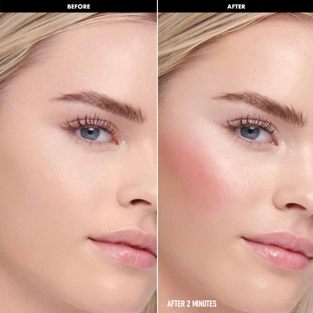 PHOFAY Gloss Visage Blush – Radiant Face Color