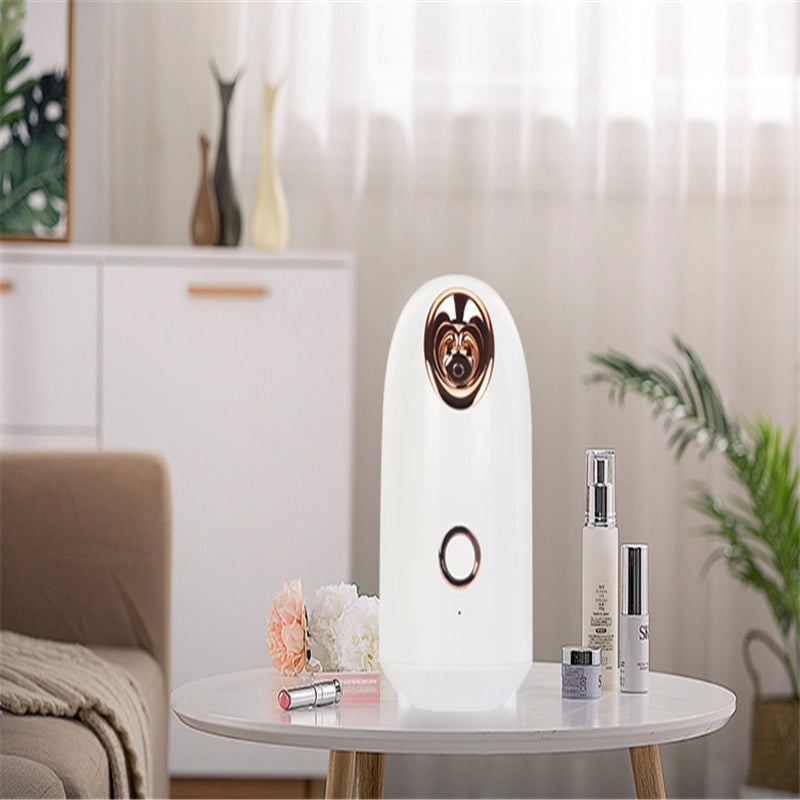 Beauty Steamer – Facial Steaming Device for Deep Cleansing & Hydration CJ