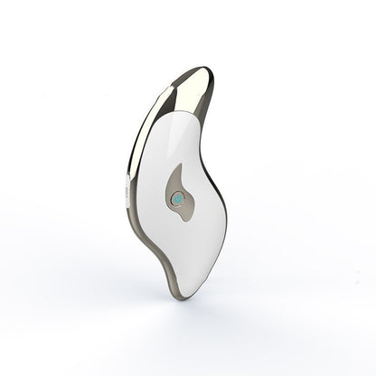 Facial & Neck Ultrasonic Massage Instrument – Beauty & Therapeutic Care